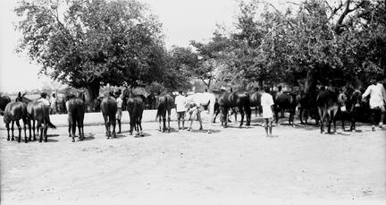 Horse Lines, Rawalpindi