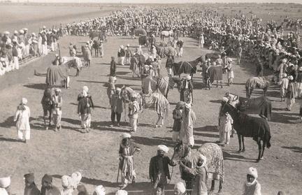 The Paddock Biloch Races, Jacobabad, Sind 