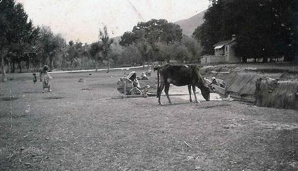 Woman Spinning in Sind Valley, Kashmir. May to June 1920