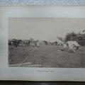 Belgundi Camp 1895	
