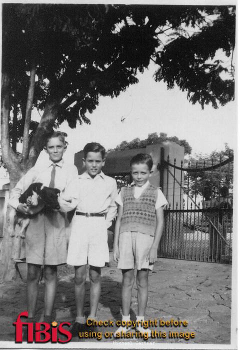Three boys and a dog