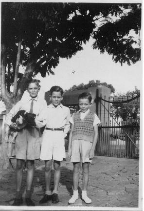 Three boys and a dog