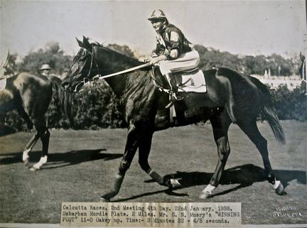Calcutta Races