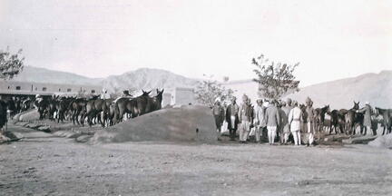 52nd Sikhs Mule Lines, Kohat 1919