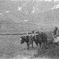Trip to Baltistan May June 1924 5.jpg