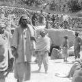 Trip to Baltistan May to June 1924