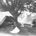 Camp at Bandipore, Kashmir 1924