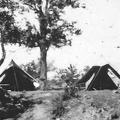 Camp at Bandipore, Kashmir 1924.jpg