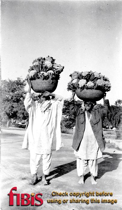 Carrying baskets