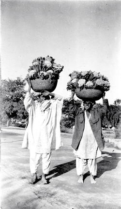 Carrying baskets