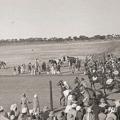 The Start Biloch Races, Jacobabad, Sind January 1936.jpg
