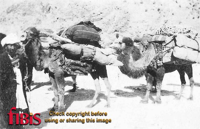 Camels India 1925
