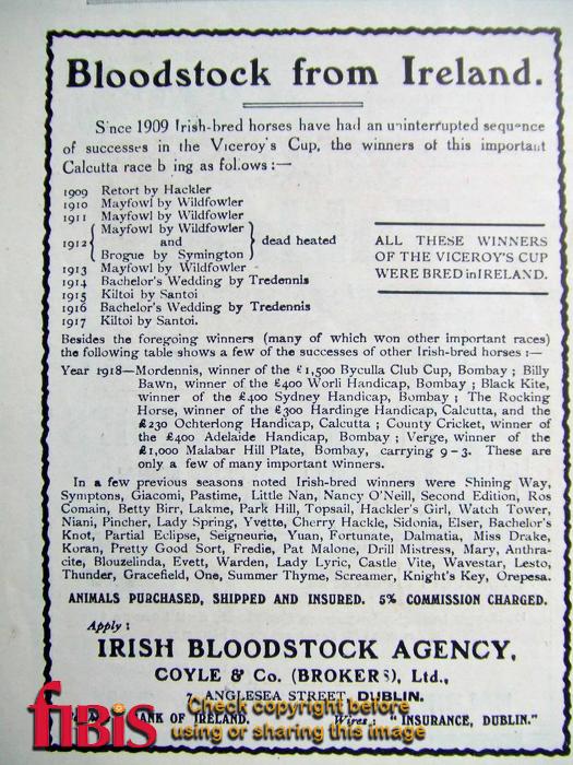Irish Bloodstock Agency Advertisement 1918.jpg