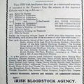 Irish Bloodstock Agency Advertisement 1918
