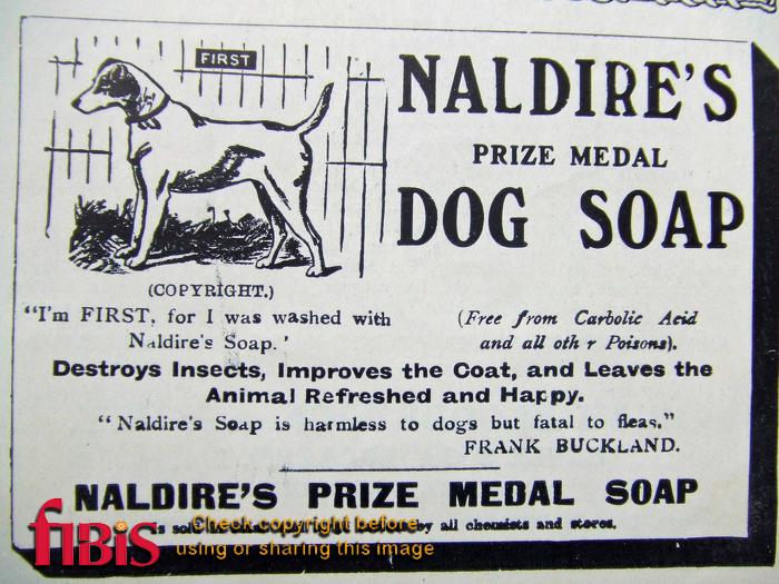 Naldire\'s Advertisement 1918.jpg