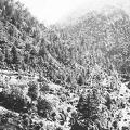 Road to Dunga Gali North West Frontier August 1924 2.jpg