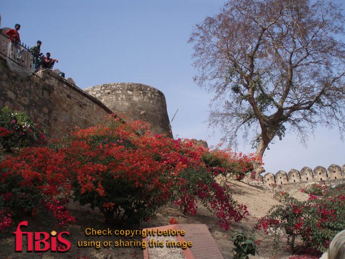 Jhansi Fortress.jpg