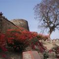 Jhansi Fortress
