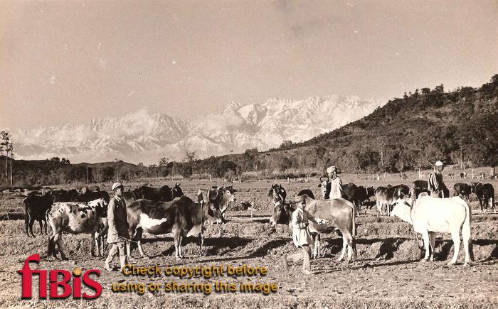 Kangra District ca 1942 2.jpg