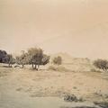 Kohat Fort, Pakistan November 1917