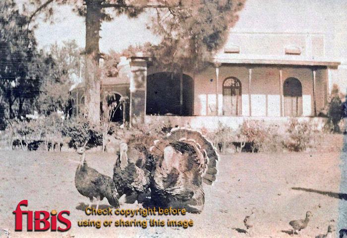 Kohat House, Kohat 1917.jpg
