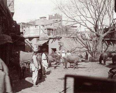 Peshawar, Pakistan ca 1920