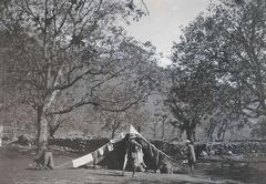 Camp Sind Valley, Kashmir May to June 1920