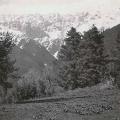 Haramuk, Sind Valley, Kashmir May June 1920
