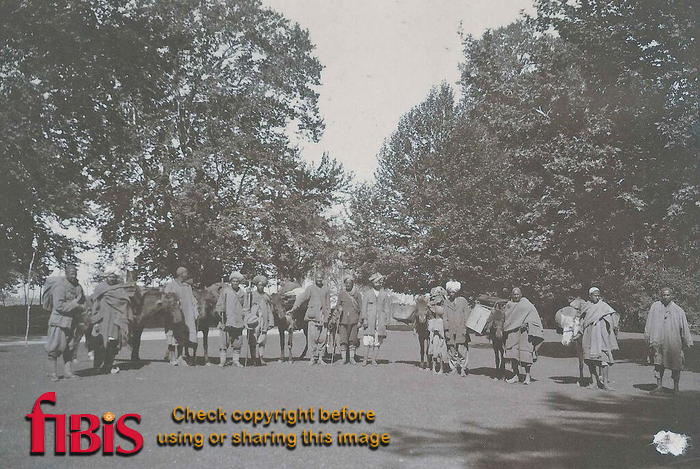 Shikari and pack animals ready to start trip up Sind Valley, Kashmir May to June 1920