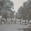 Shikari and pack animals ready to start trip up Sind Valley, Kashmir May to June 1920