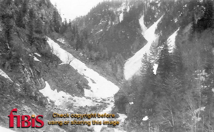 Sind Valley, Kashmir 1924 6.jpg