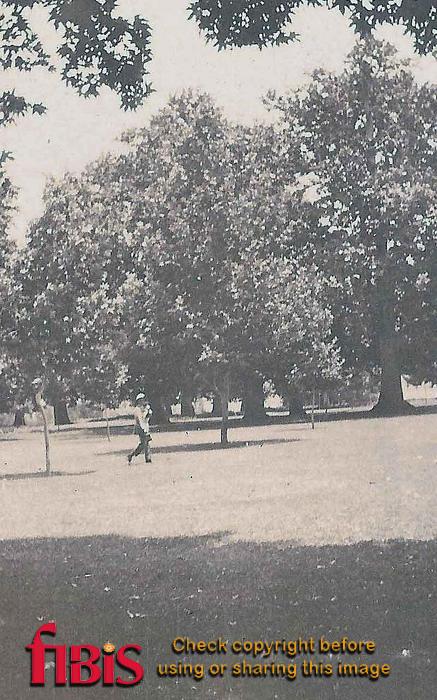Shalimar Garden, Srinagar, Kashmir 1920 