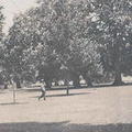 Shalimar Garden, Srinagar, Kashmir 1920 2.jpg