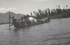 Boat on Dal Lake, Srinagar, Kashmir 1920