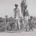 Father, Son and Grandson, Srinagar 1920