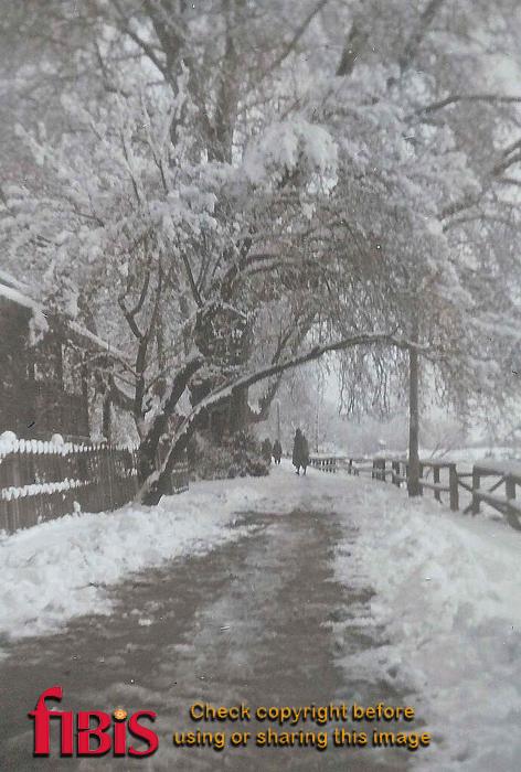 Snow laden almond tree, Bund Srinagar, Kashmir ca 1911.jpg