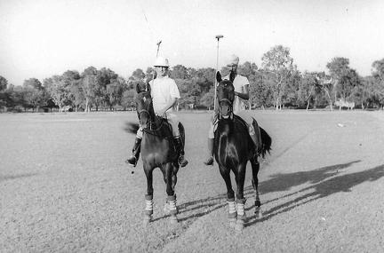 Polo Ponies, India 1930s