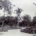 Public Gardens, Karachi 1891