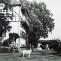 Barnes Court, Simla May 1930 4.jpg
