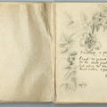 Phyllis Lawrence Heron Collection Autograph Album