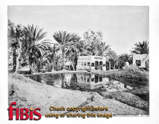 1879 January Egypt - Moses  fountain